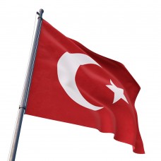 Türk Bayrağı 20x30 cm ( 5'Li )