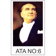Atatürk Posteri 06