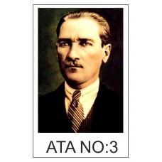 Atatürk Posteri 03