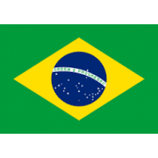 Brezilya Bayrağı 30x45 cm (Saten)