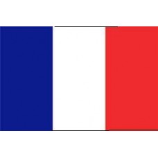 Fransa Bayrağı 30x45 cm (Saten)