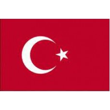 Türkiye Bayrağı 30x45 cm (Saten)