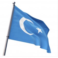 Doğu Türkistan Bayrakları