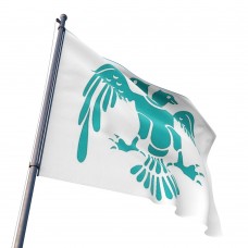 Selçuklu Devlet Armalı Bayrak-70x105 cm